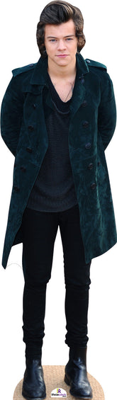 Harry Styles in Green Jacket 373 Celebrity Cutout